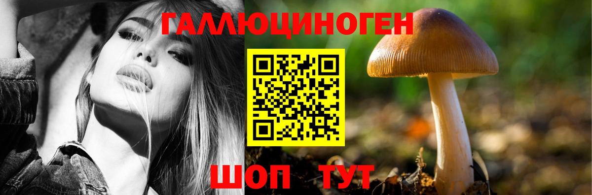 Галлюциногенные грибы Psilocybe  Вход с VPN  Балтийск 